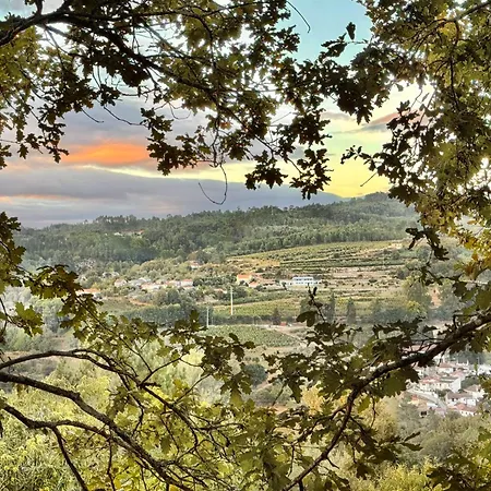 Szálloda Tiny Escape São Miguel do Mato