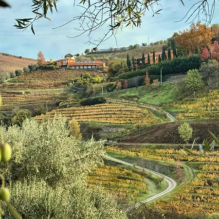 Отель Tiny Escape