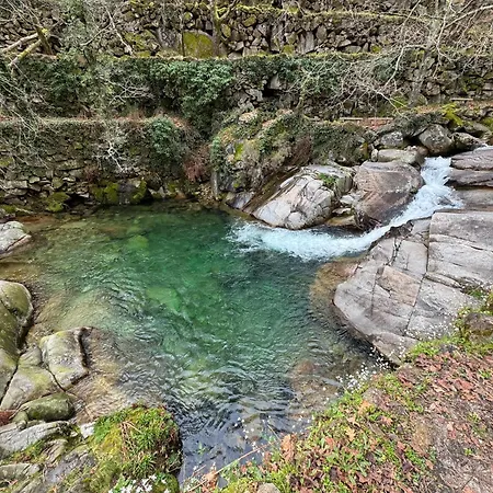 Отель Tiny Escape Sao Miguel do Mato